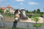 Hoffotos05